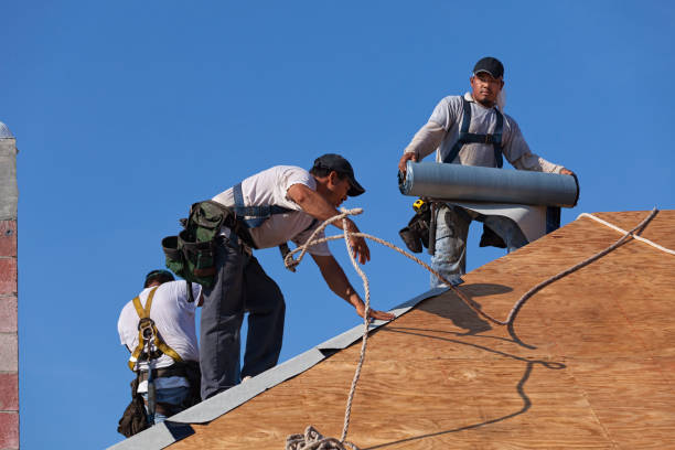 Best Metal Roofing Contractor  in Santa Anna, TX