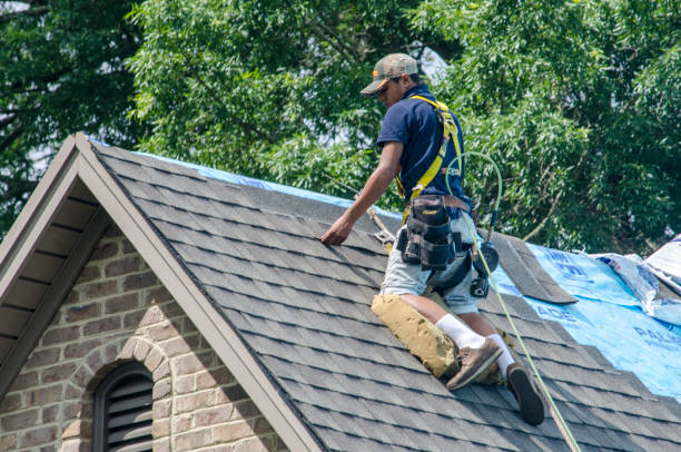 Best Roof Leak Repair  in Santa Anna, TX